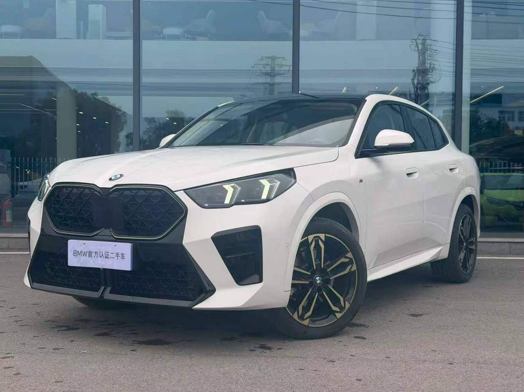 BMW X2 xDrive 25i