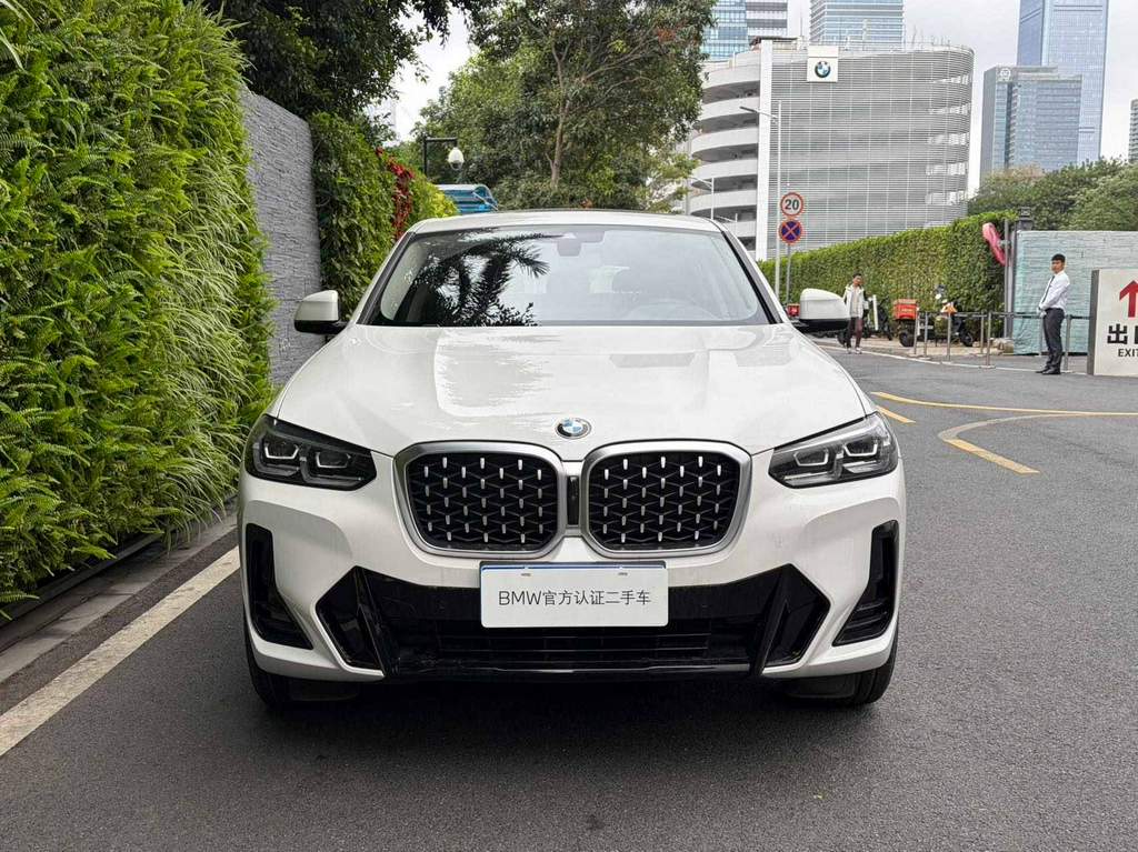 BMW X4 xDrive 30i