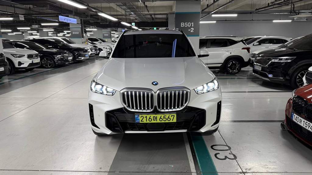 BMW X5 xDrive 30d